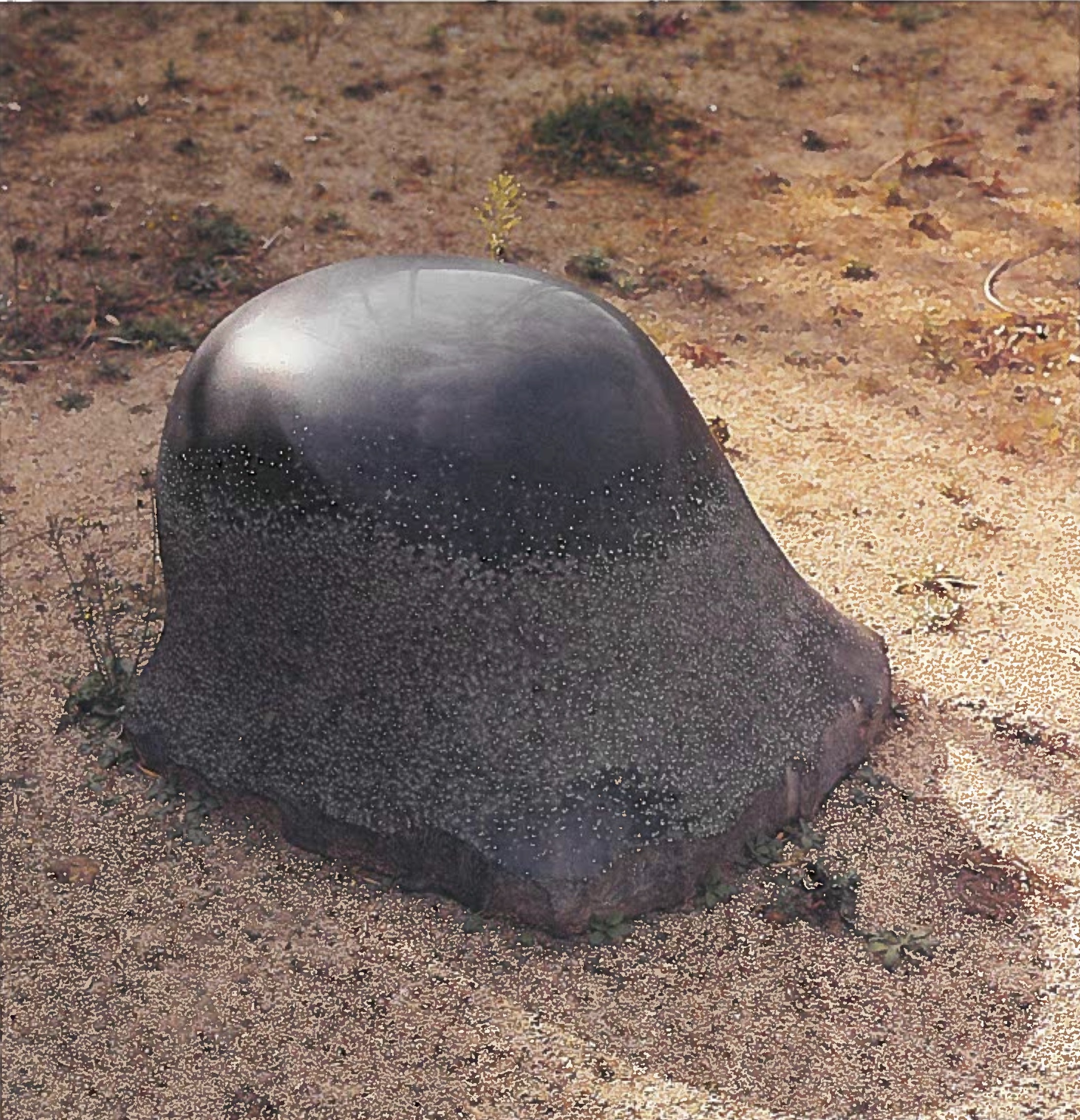 Noguchi.HartPlaza.SarahCohen
